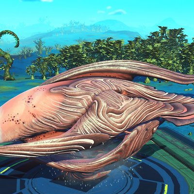 seed image