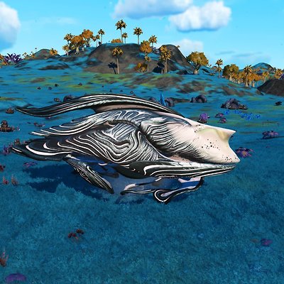 seed image