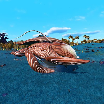 seed image