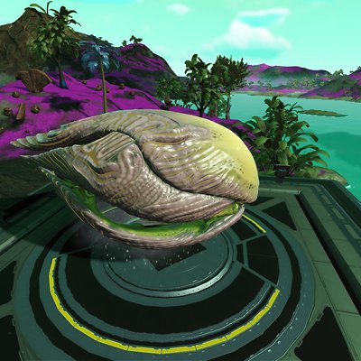 seed image
