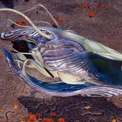 seed image