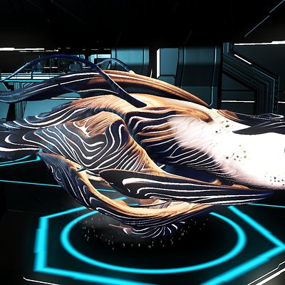 seed image