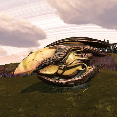 seed image