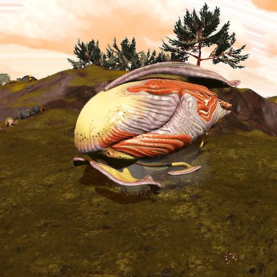 seed image
