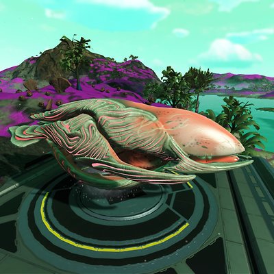 seed image