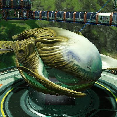 seed image