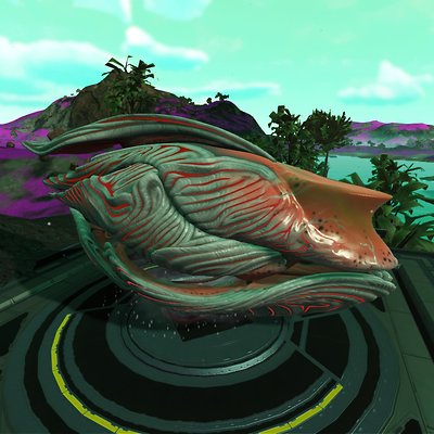 seed image