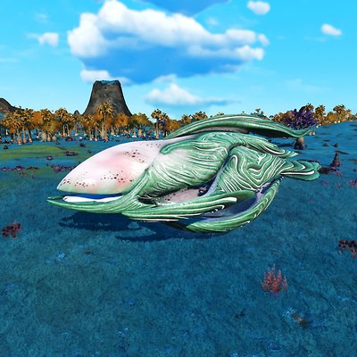 seed image