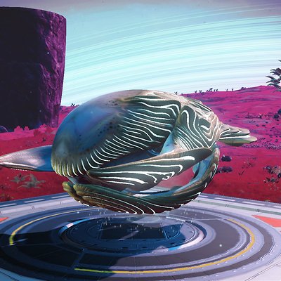 seed image