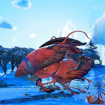 seed image