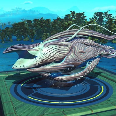seed image
