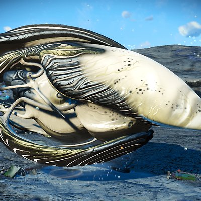 seed image
