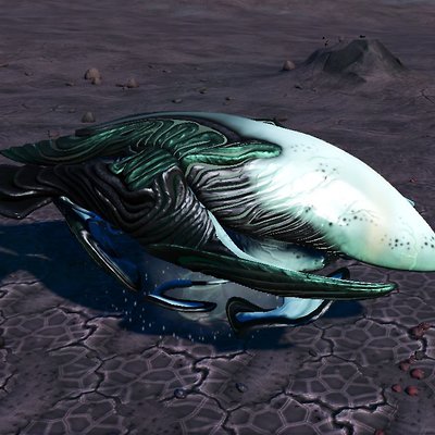 seed image