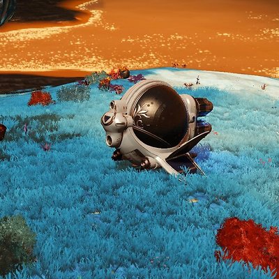 seed image