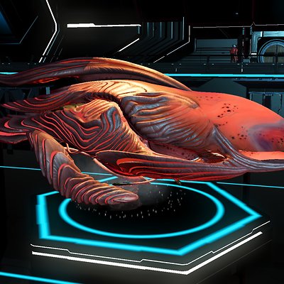 seed image