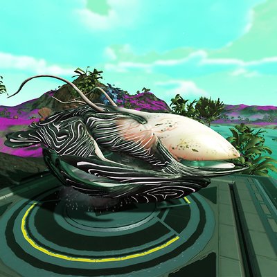 seed image
