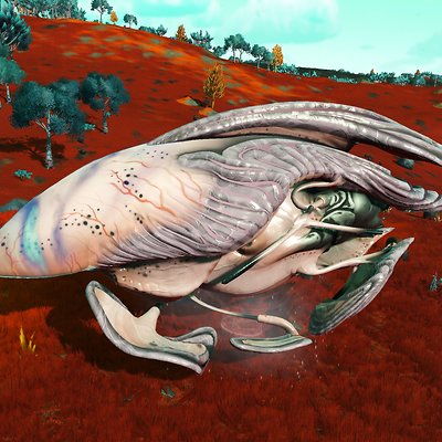seed image