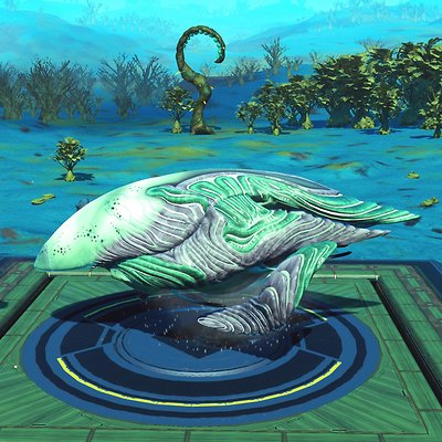 seed image
