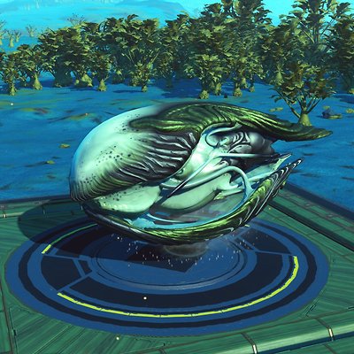 seed image