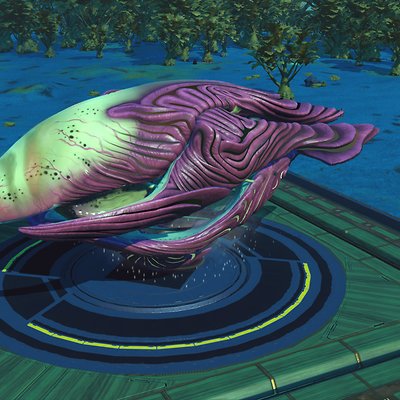 seed image