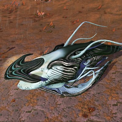 seed image