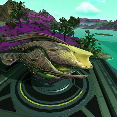 seed image