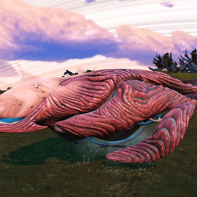 seed image