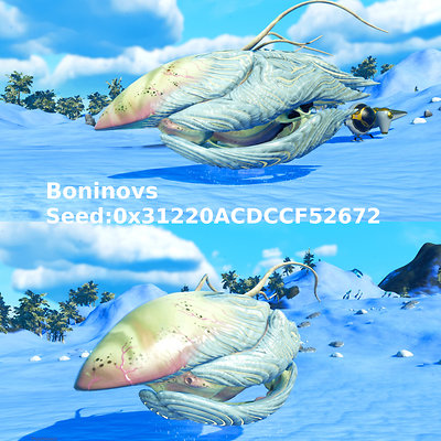 seed image
