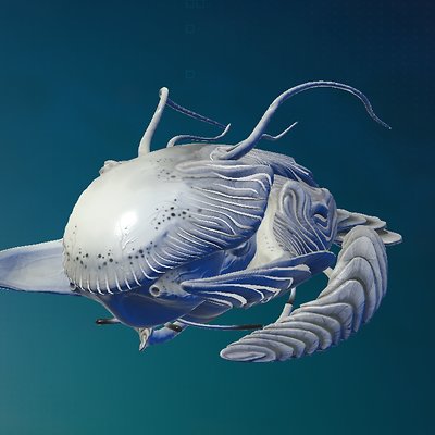 seed image