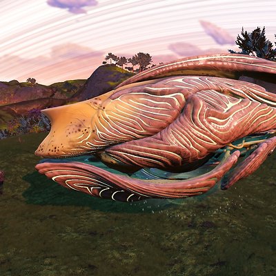 seed image