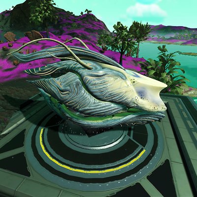 seed image