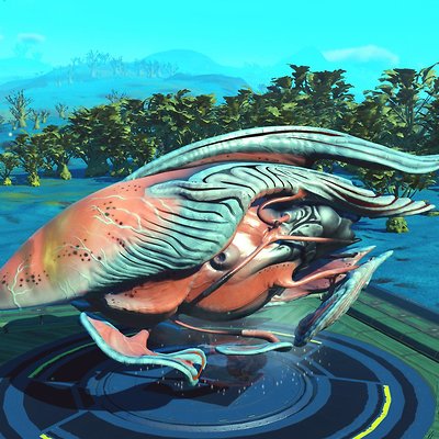 seed image