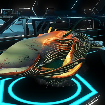 seed image