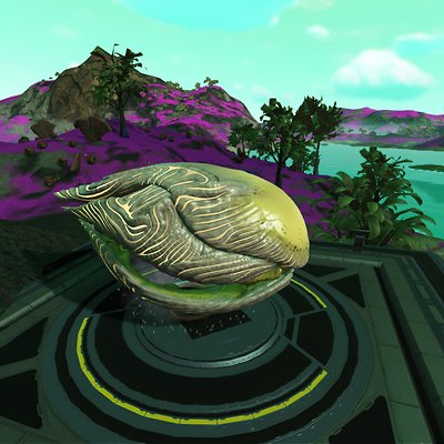 seed image