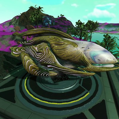 seed image