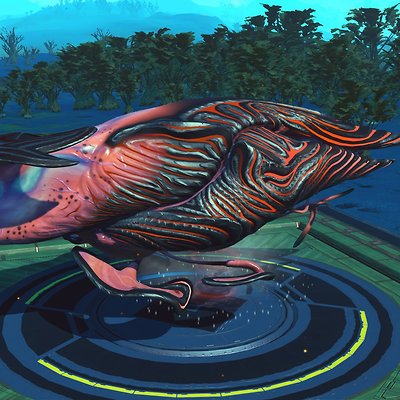 seed image