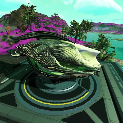 seed image