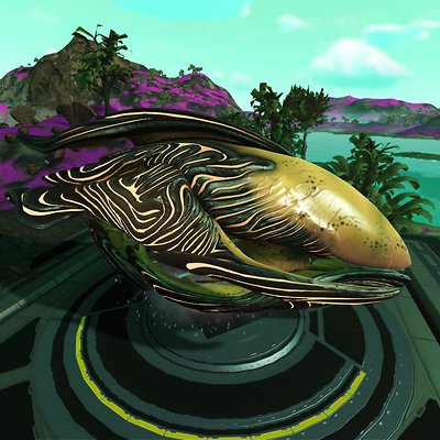 seed image