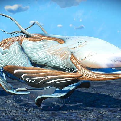 seed image