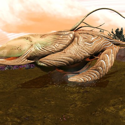 seed image