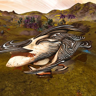 seed image