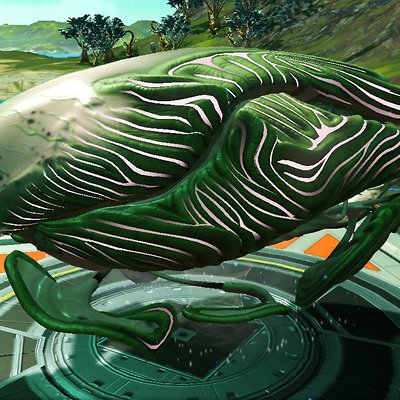 seed image