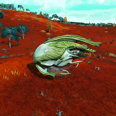 seed image