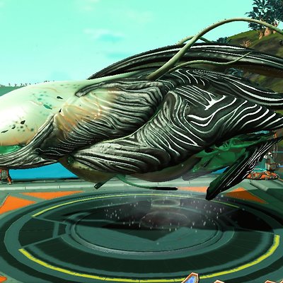 seed image