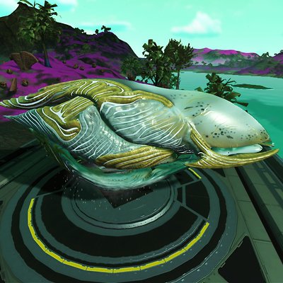 seed image