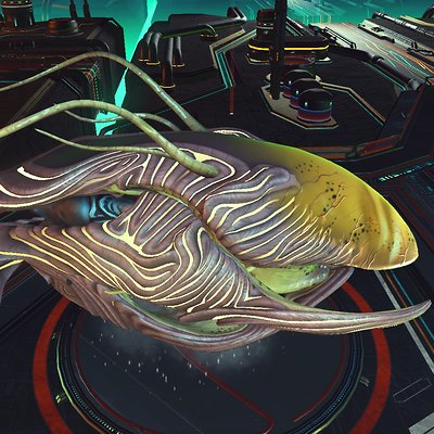 seed image