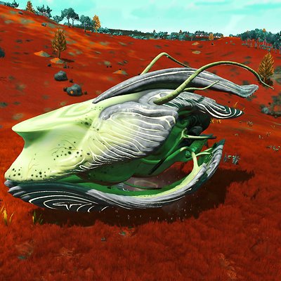 seed image