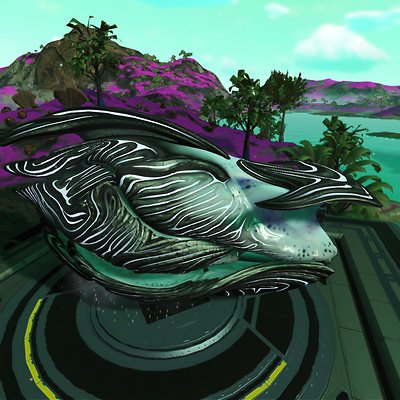 seed image