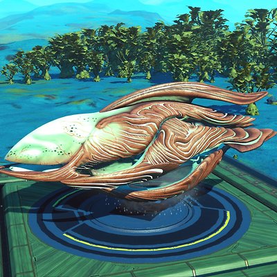 seed image