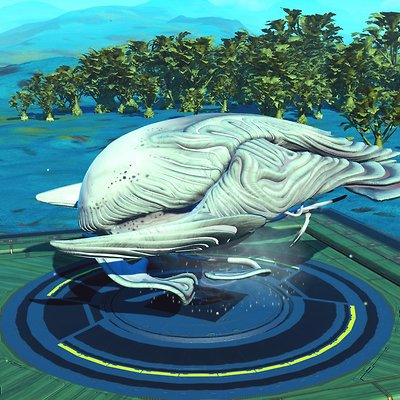 seed image